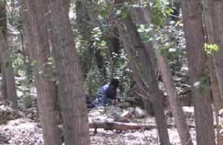 paintball entre los arboles